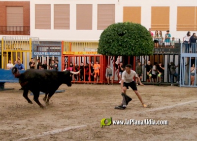 Fotografia /Galeria/2023/9/213236_134641/2_M1.jpg