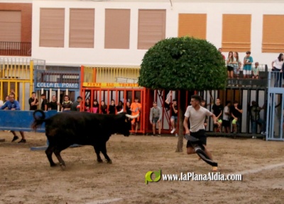 Fotografia /Galeria/2023/9/213236_134641/3_M1.jpg