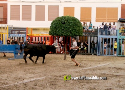 Fotografia /Galeria/2023/9/213236_134641/4_M1.jpg