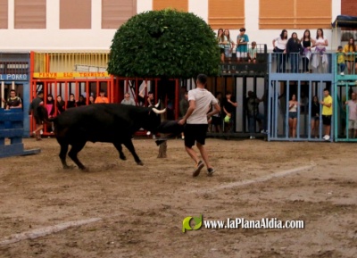 Fotografia /Galeria/2023/9/213236_134641/5_M1.jpg