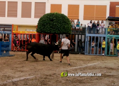 Fotografia /Galeria/2023/9/213236_134641/6_M1.jpg