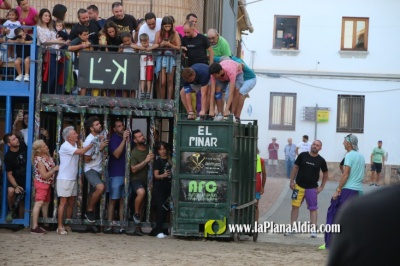 Fotografia /Galeria/2023/9/213345_134719/5_M1.jpg