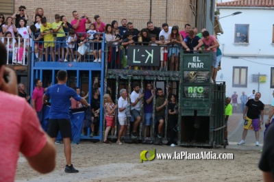 Fotografia /Galeria/2023/9/213345_134719/6_M1.jpg