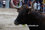 La jornada taurina de divendres va a c?rrec d'El Mijares i V?ctor Guillam?n