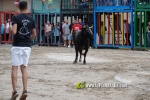 La jornada taurina de divendres va a c?rrec d'El Mijares i V?ctor Guillam?n