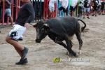 La jornada taurina de divendres va a c?rrec d'El Mijares i V?ctor Guillam?n