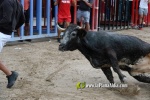 La jornada taurina de divendres va a c?rrec d'El Mijares i V?ctor Guillam?n