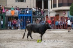La jornada taurina de divendres va a c?rrec d'El Mijares i V?ctor Guillam?n
