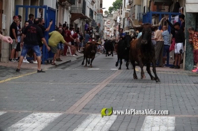 Fotografia /Galeria/2023/9/213435_134768/5_M1.jpg