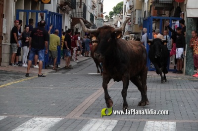 Fotografia /Galeria/2023/9/213435_134768/6_M1.jpg