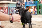 La Vilavella tanca Festa La Vila amb les darreres exhibicions taurines