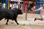 La Vilavella tanca Festa La Vila amb les darreres exhibicions taurines