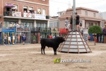 La Vilavella tanca Festa La Vila amb les darreres exhibicions taurines