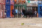 La Vilavella tanca Festa La Vila amb les darreres exhibicions taurines