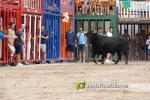 La Vilavella tanca Festa La Vila amb les darreres exhibicions taurines