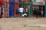 La Vilavella tanca Festa La Vila amb les darreres exhibicions taurines