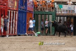 La Vilavella tanca Festa La Vila amb les darreres exhibicions taurines