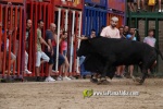 La Vilavella tanca Festa La Vila amb les darreres exhibicions taurines