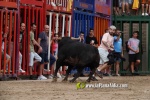 La Vilavella tanca Festa La Vila amb les darreres exhibicions taurines