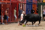 La Vilavella tanca Festa La Vila amb les darreres exhibicions taurines