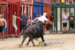 La Vilavella tanca Festa La Vila amb les darreres exhibicions taurines