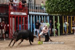 La Vilavella tanca Festa La Vila amb les darreres exhibicions taurines