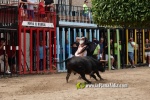 La Vilavella tanca Festa La Vila amb les darreres exhibicions taurines