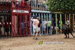La Vilavella tanca Festa La Vila amb les darreres exhibicions taurines