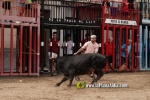 La Vilavella tanca Festa La Vila amb les darreres exhibicions taurines