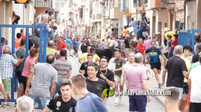 Fotografia /Galeria/2023/9/213438_134772/6_M1.jpg