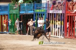 La Vilavella tanca Festa La Vila amb les darreres exhibicions taurines