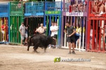La Vilavella tanca Festa La Vila amb les darreres exhibicions taurines