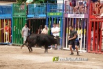 La Vilavella tanca Festa La Vila amb les darreres exhibicions taurines