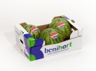 Benihort reduce casi a la mitad su producción de sandía por el clima
