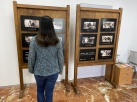 Exposici� fotogr�fica sobre equitat en tasques dom�stiques a l'Alcora