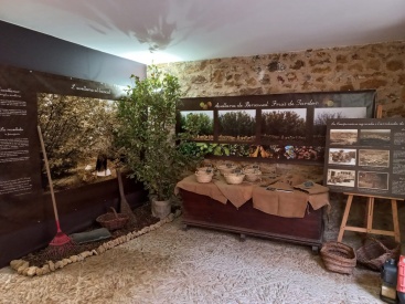 Fotografia /Galeria/2023/9/214154_135220/2_M1.jpg