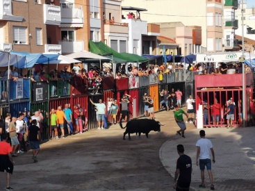 Fotografia /Galeria/2023/9/214185_135245/2_M1.jpg