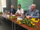 Consorcio propone plan europeo integral para encontrar plantas resistentes al HLB