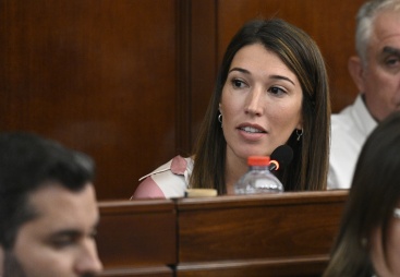 El PSPV de la Diputación exige a Marta Barrachina proactividad y que ponga 'todos los recursos' para aplacar el peor episodio de mosquitos del año