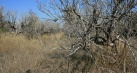 La Comunitat Valenciana bate rcord de tierras abandonadas en la agricultura