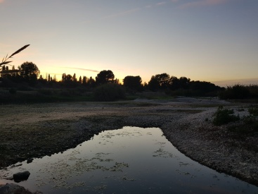 Fotografia /Galeria/2024/1/221066_139673/2_M1.jpg