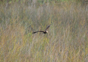 Fotografia /Galeria/2024/1/221066_139673/3_M1.jpg