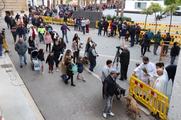 Centenares de ondenses honran a Sant Antoni
