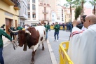 Fotografia /Galeria/2024/1/221318_139832/6_M1.jpg