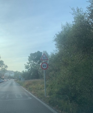 Fotografia /Galeria/2024/1/221456_139931/3_M1.jpg