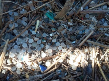 Fotografia /Galeria/2024/1/221575_140009/2_M1.jpg