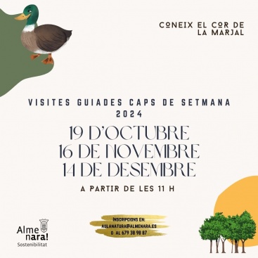 Visitas guiadas en Almenara: conoce el Castell y la Torre Bivalcadim