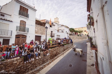 Éxito en las fiestas patronales de Oropesa del Mar