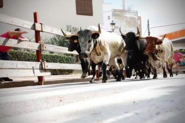 Últim cap de setmana de festes a Oropesa del Mar