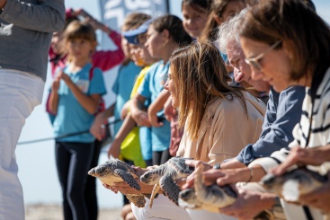 Fotografia /Galeria/2024/10/234867_149608/3_M1.jpg